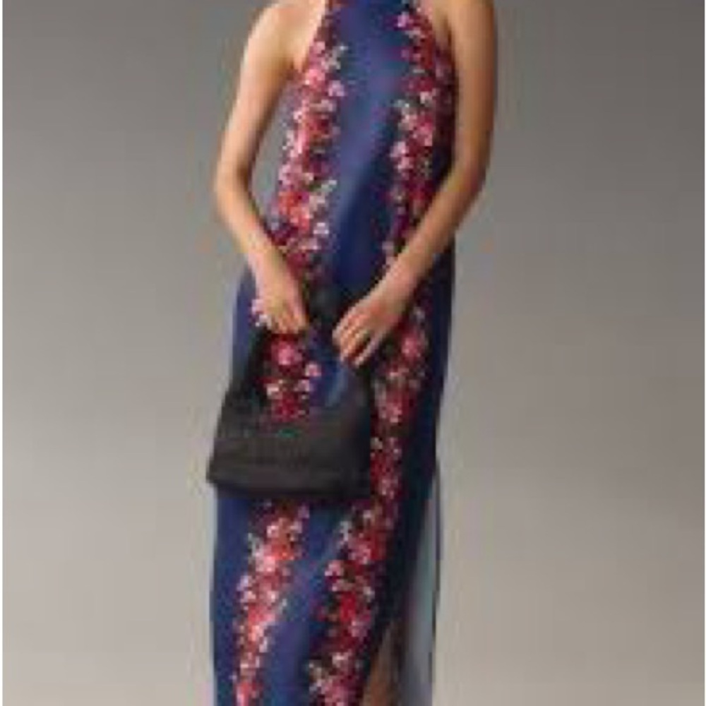 Anthropologie Blue and Pink Floral Maxi Dress